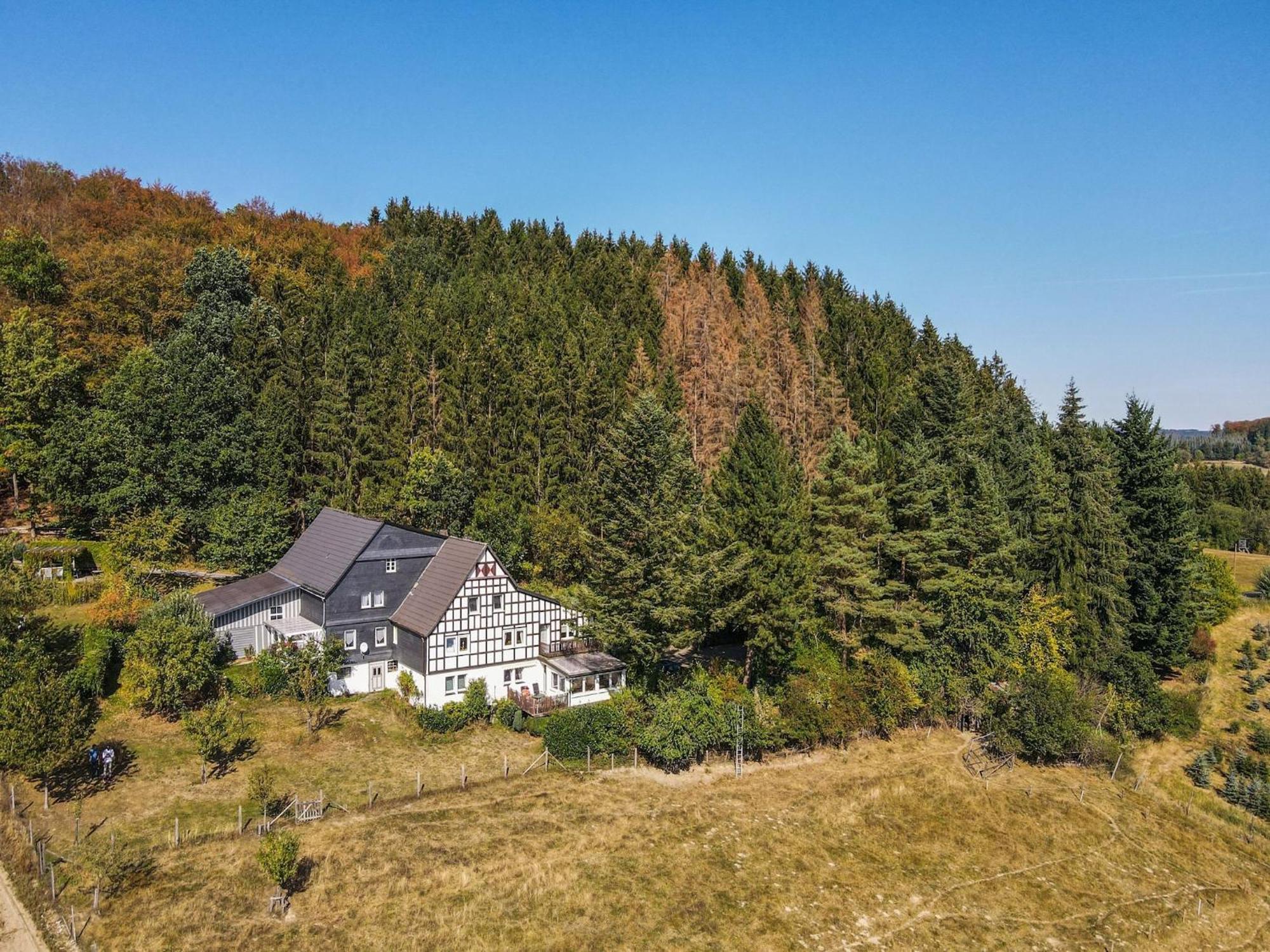 Cosy Apartment In Menkhausen Near The Ski Area Schmallenberg Zewnętrze zdjęcie