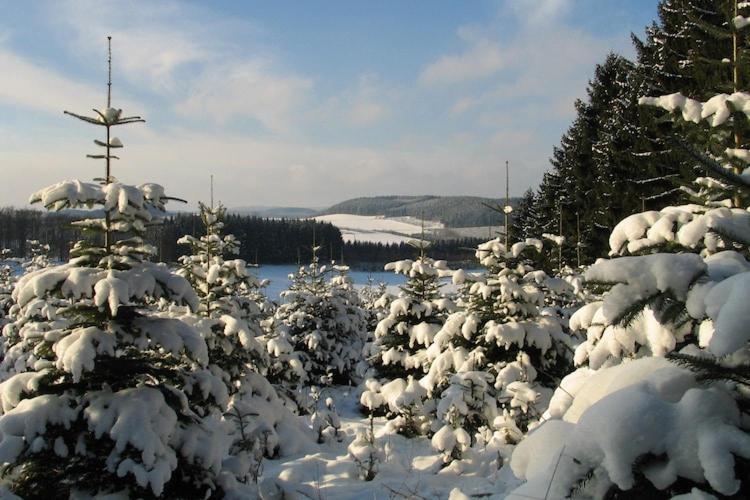 Cosy Apartment In Menkhausen Near The Ski Area Schmallenberg Zewnętrze zdjęcie