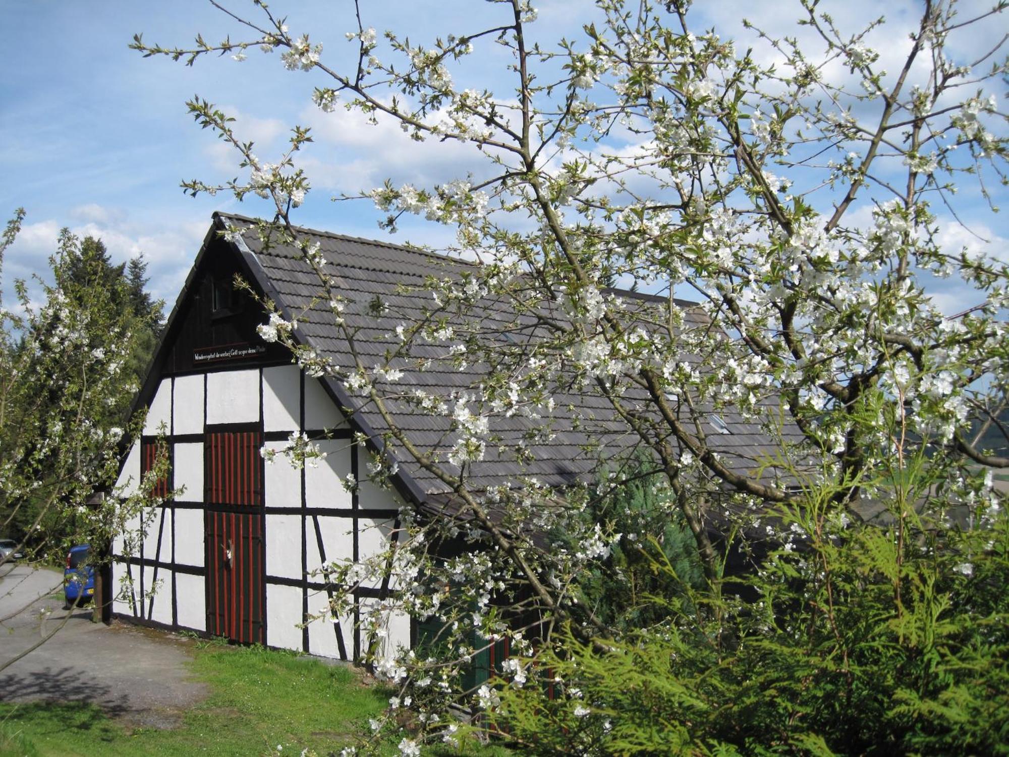 Cosy Apartment In Menkhausen Near The Ski Area Schmallenberg Zewnętrze zdjęcie