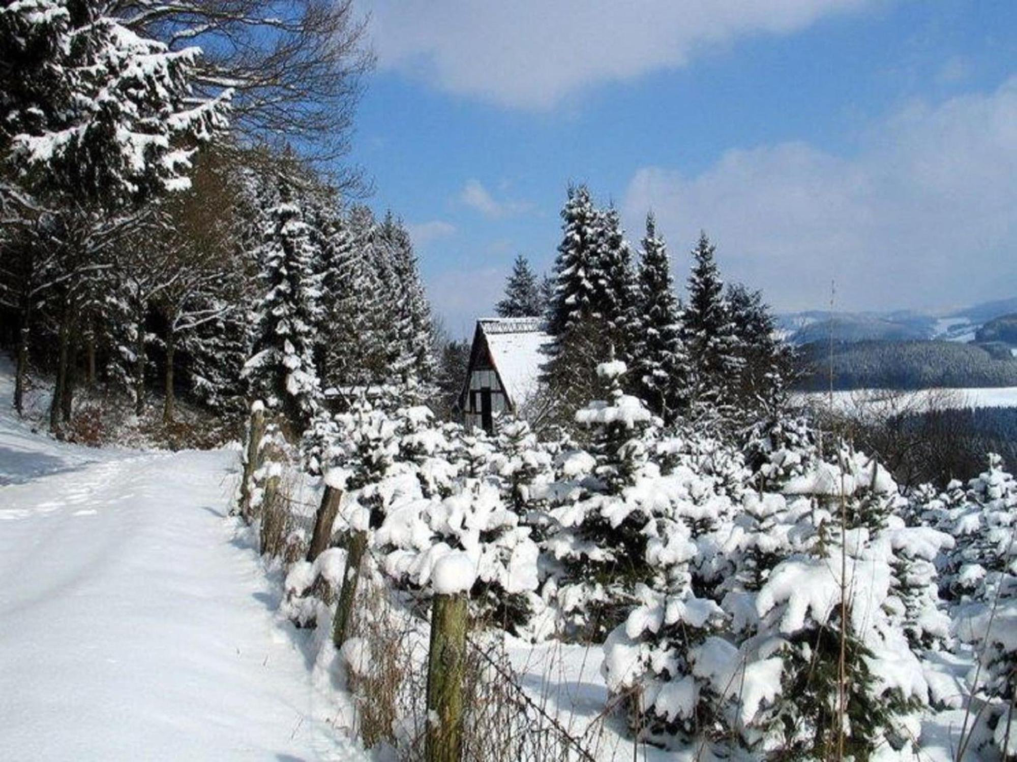 Cosy Apartment In Menkhausen Near The Ski Area Schmallenberg Zewnętrze zdjęcie
